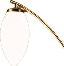 Isolated reference for Willow